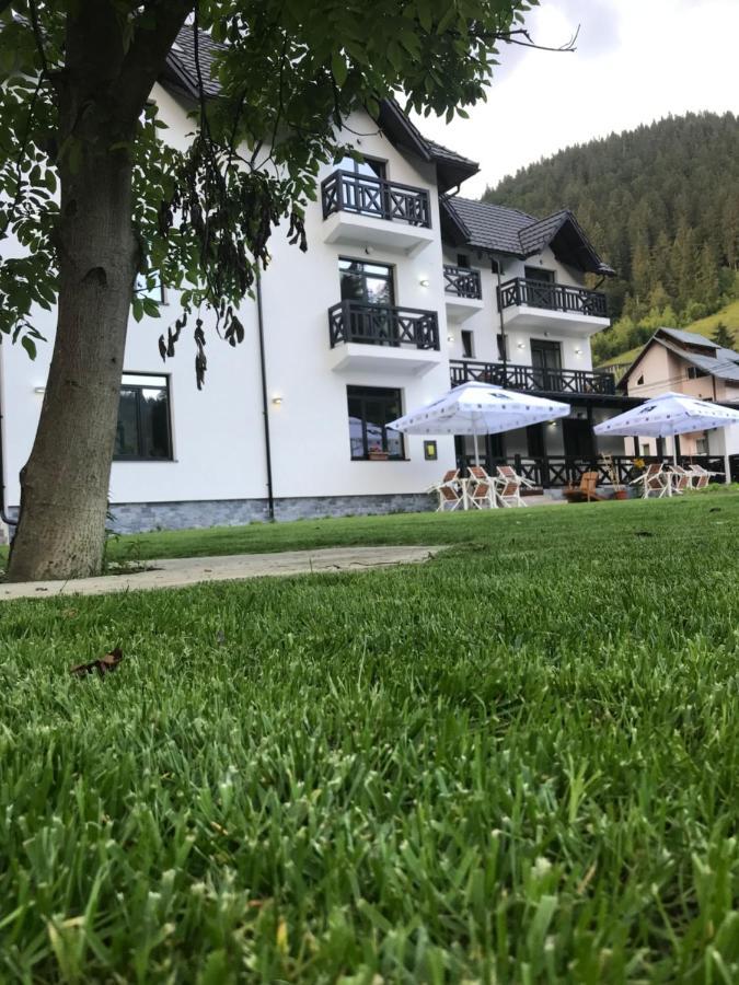Pensiunea Edelweiss Voineasa Exterior photo