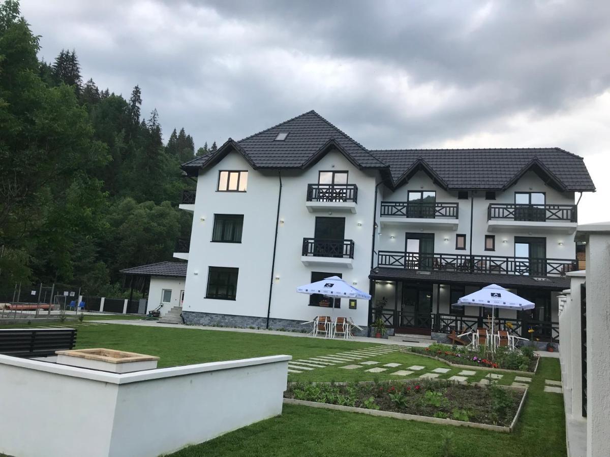 Pensiunea Edelweiss Voineasa Exterior photo