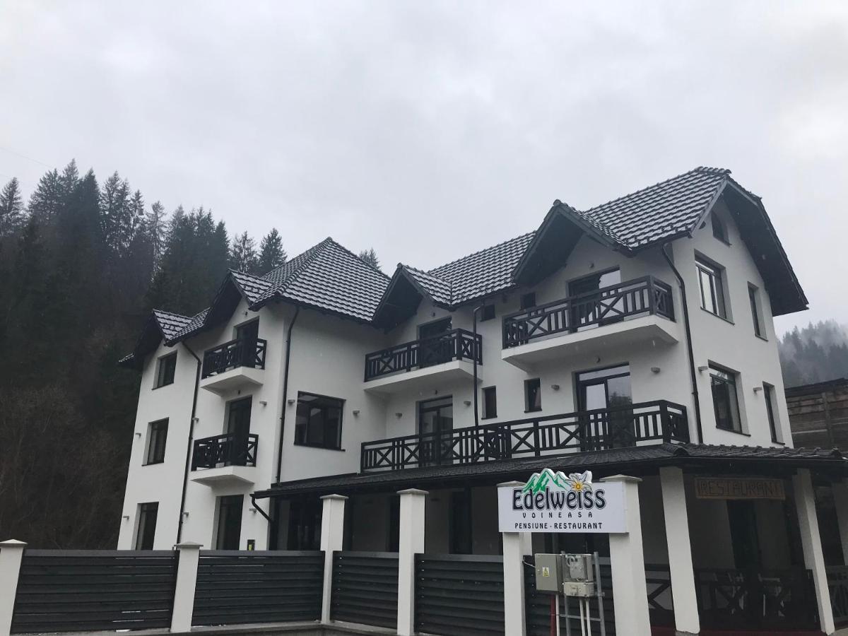 Pensiunea Edelweiss Voineasa Exterior photo